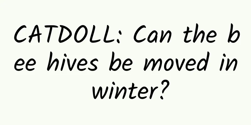 CATDOLL: Can the bee hives be moved in winter?