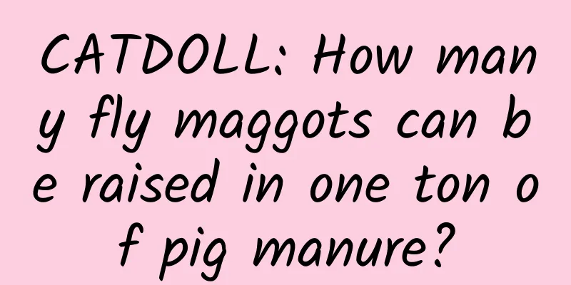 CATDOLL: How many fly maggots can be raised in one ton of pig manure?
