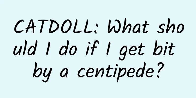 CATDOLL: What should I do if I get bit by a centipede?