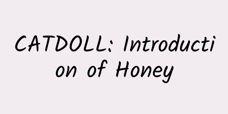 CATDOLL: Introduction of Honey