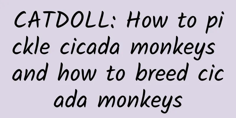 CATDOLL: How to pickle cicada monkeys and how to breed cicada monkeys