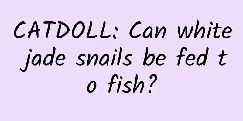 CATDOLL: Can white jade snails be fed to fish?
