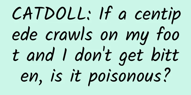 CATDOLL: If a centipede crawls on my foot and I don't get bitten, is it poisonous?