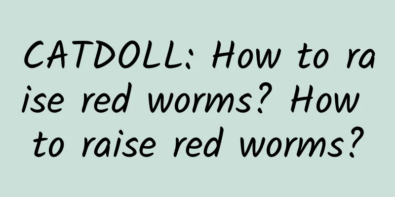 CATDOLL: How to raise red worms? How to raise red worms?