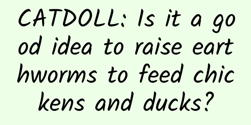 CATDOLL: Is it a good idea to raise earthworms to feed chickens and ducks?