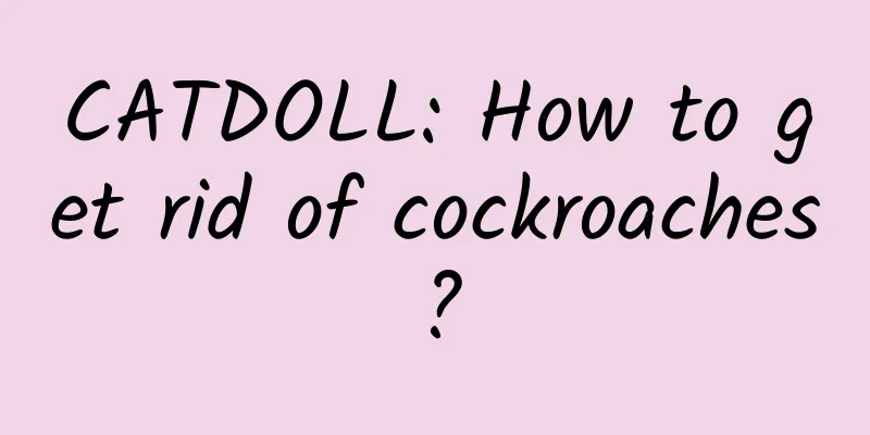 CATDOLL: How to get rid of cockroaches?