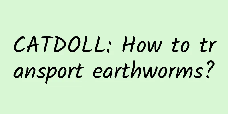 CATDOLL: How to transport earthworms?