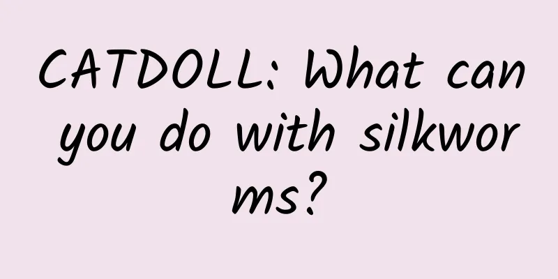 CATDOLL: What can you do with silkworms?
