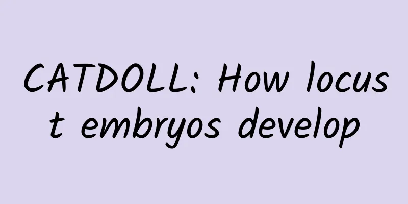 CATDOLL: How locust embryos develop