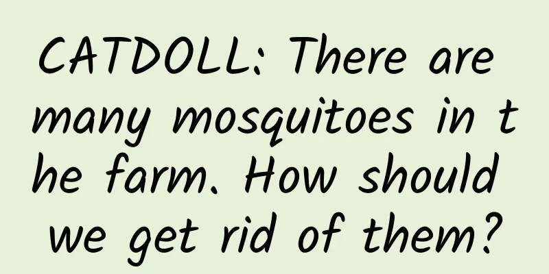 CATDOLL: There are many mosquitoes in the farm. How should we get rid of them?