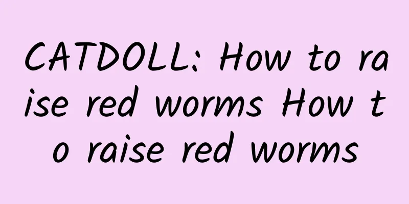 CATDOLL: How to raise red worms How to raise red worms