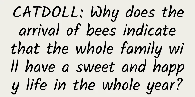 CATDOLL: Why does the arrival of bees indicate that the whole family will have a sweet and happy life in the whole year?