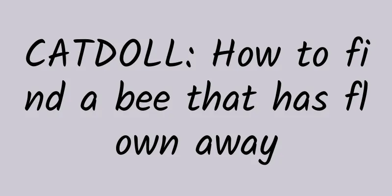 CATDOLL: How to find a bee that has flown away