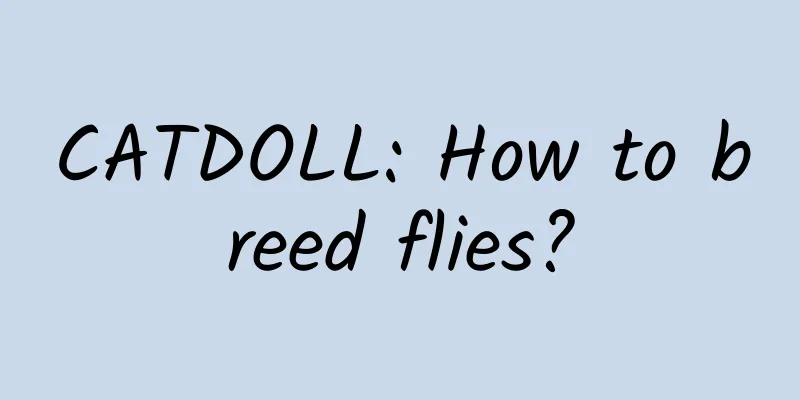 CATDOLL: How to breed flies?
