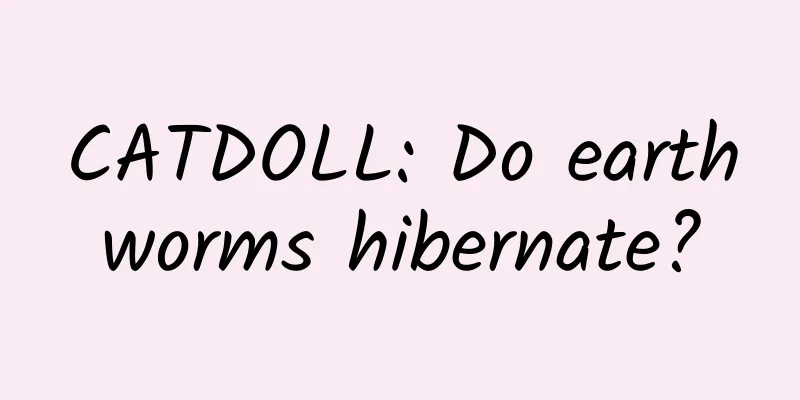 CATDOLL: Do earthworms hibernate?