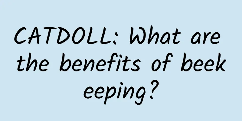 CATDOLL: What are the benefits of beekeeping?