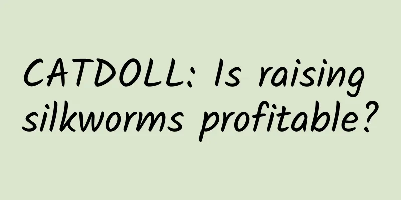 CATDOLL: Is raising silkworms profitable?
