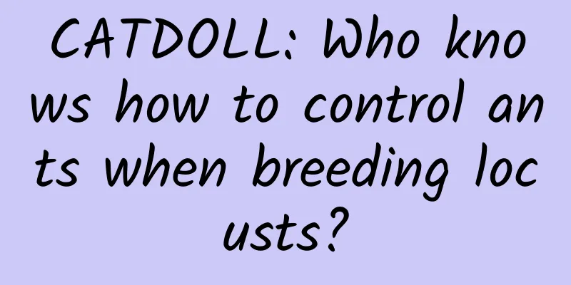 CATDOLL: Who knows how to control ants when breeding locusts?