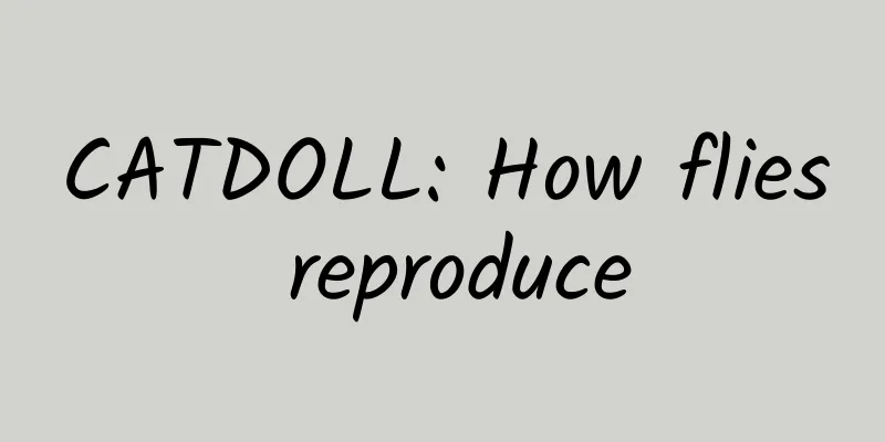 CATDOLL: How flies reproduce