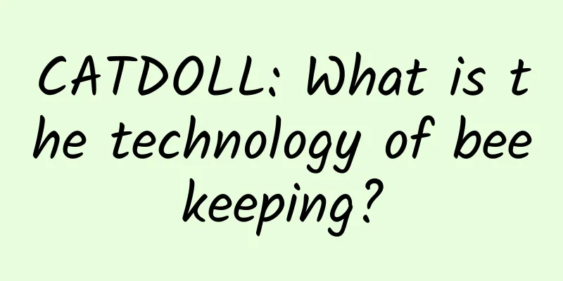 CATDOLL: What is the technology of beekeeping?