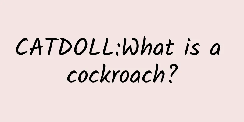 CATDOLL:What is a cockroach?