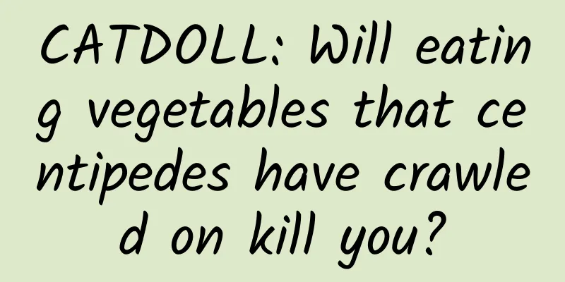 CATDOLL: Will eating vegetables that centipedes have crawled on kill you?