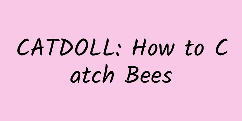 CATDOLL: How to Catch Bees