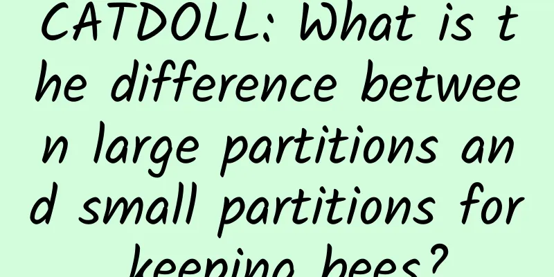 CATDOLL: What is the difference between large partitions and small partitions for keeping bees?