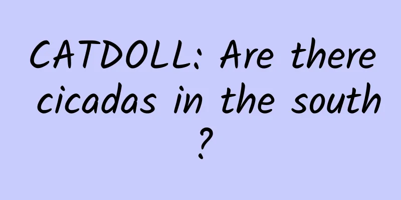 CATDOLL: Are there cicadas in the south?