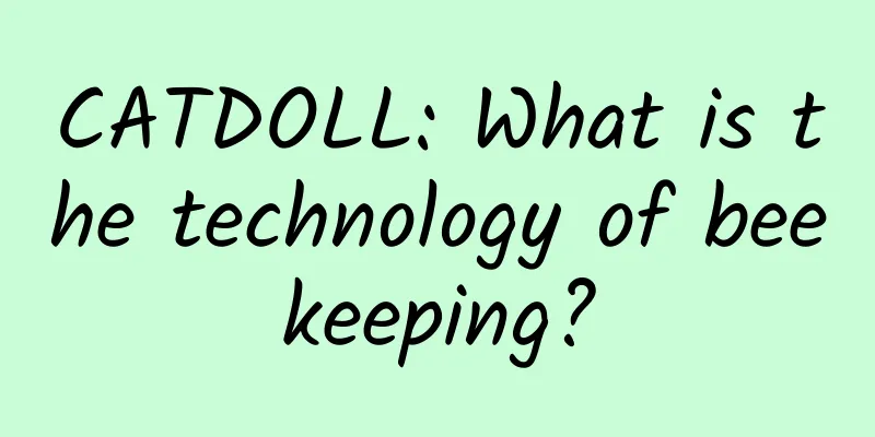 CATDOLL: What is the technology of beekeeping?