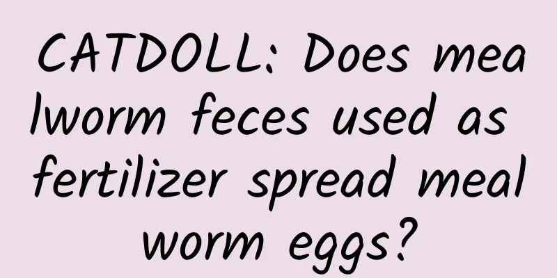 CATDOLL: Does mealworm feces used as fertilizer spread mealworm eggs?