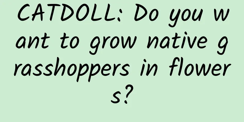CATDOLL: Do you want to grow native grasshoppers in flowers?