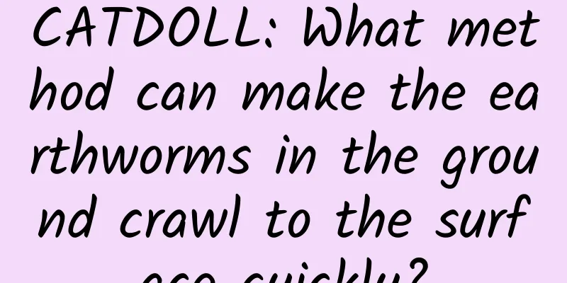 CATDOLL: What method can make the earthworms in the ground crawl to the surface quickly?