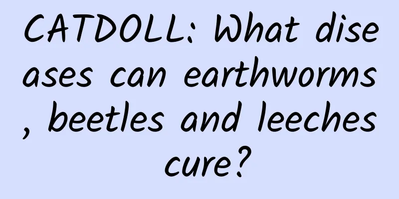CATDOLL: What diseases can earthworms, beetles and leeches cure?
