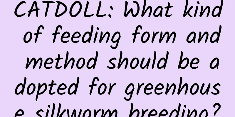 CATDOLL: What kind of feeding form and method should be adopted for greenhouse silkworm breeding?
