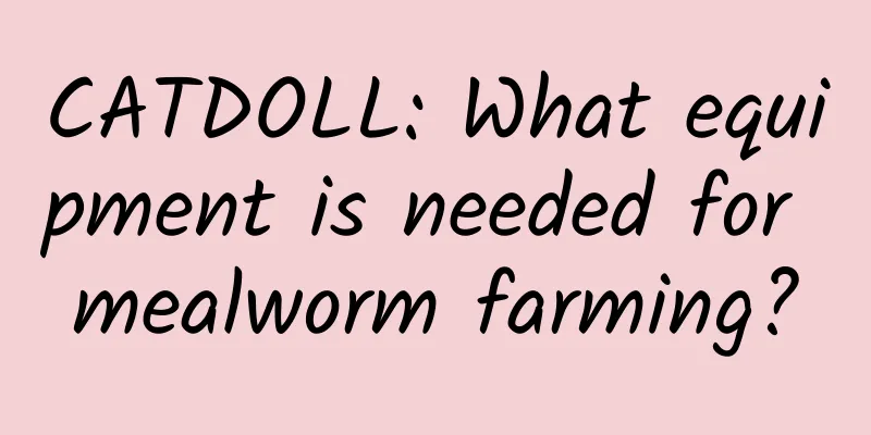 CATDOLL: What equipment is needed for mealworm farming?