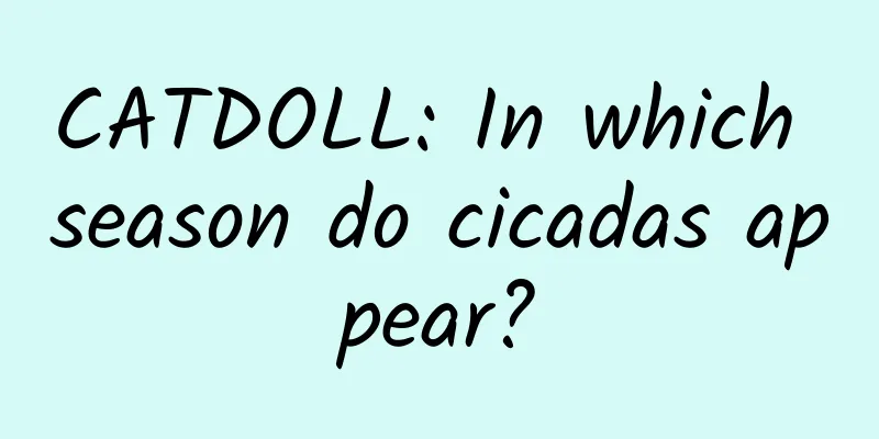 CATDOLL: In which season do cicadas appear?