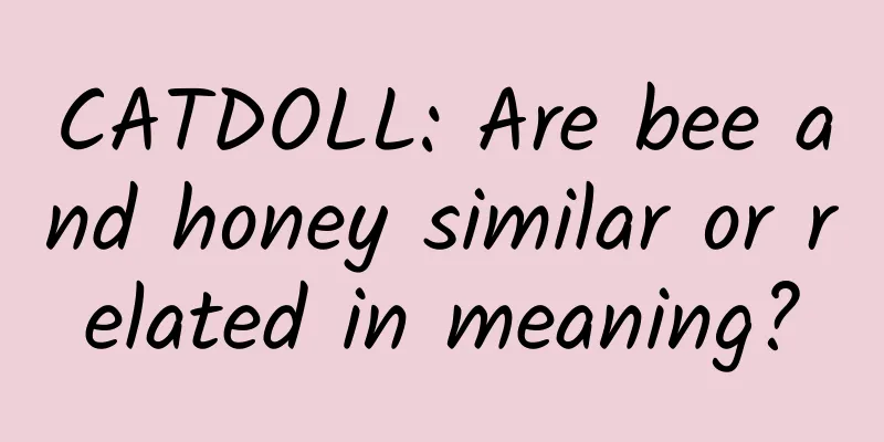 CATDOLL: Are bee and honey similar or related in meaning?