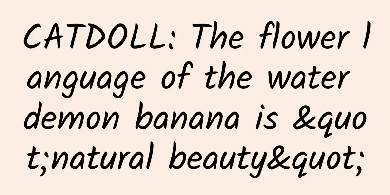 CATDOLL: The flower language of the water demon banana is "natural beauty"
