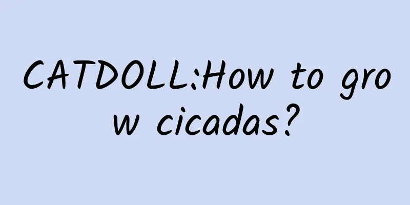 CATDOLL:How to grow cicadas?