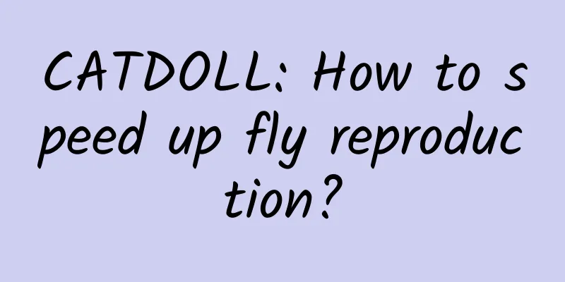 CATDOLL: How to speed up fly reproduction?
