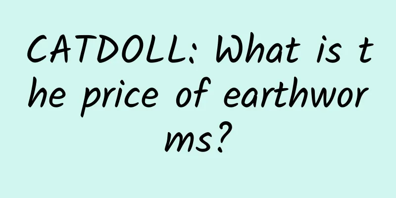 CATDOLL: What is the price of earthworms?