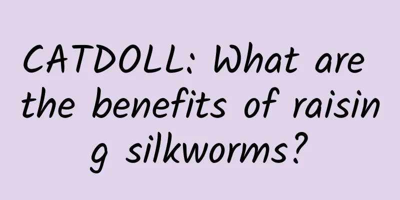 CATDOLL: What are the benefits of raising silkworms?