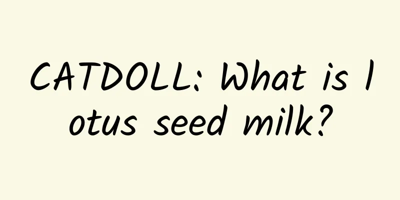 CATDOLL: What is lotus seed milk?