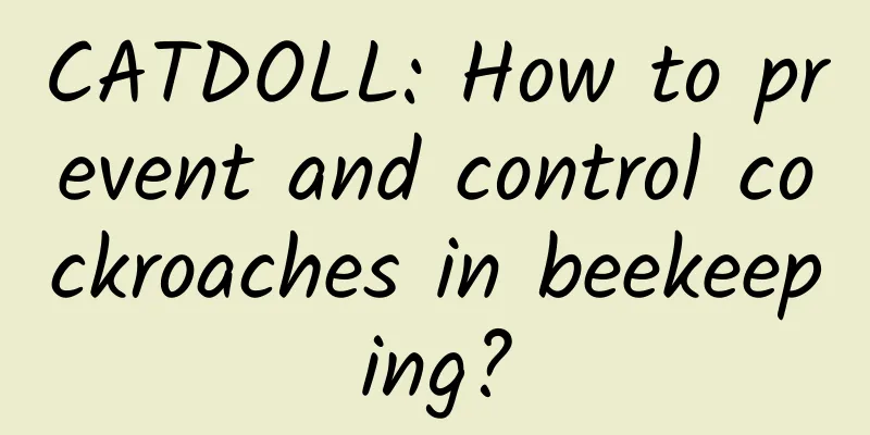 CATDOLL: How to prevent and control cockroaches in beekeeping?