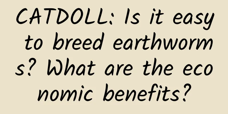 CATDOLL: Is it easy to breed earthworms? What are the economic benefits?
