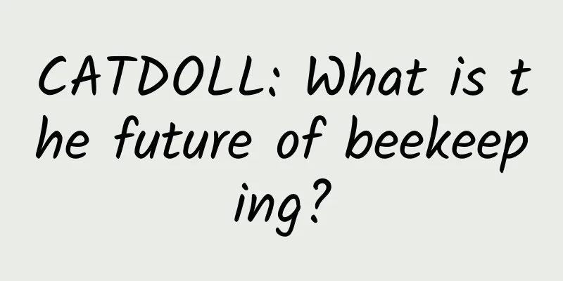 CATDOLL: What is the future of beekeeping?
