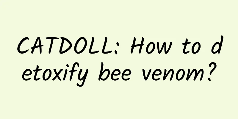 CATDOLL: How to detoxify bee venom?