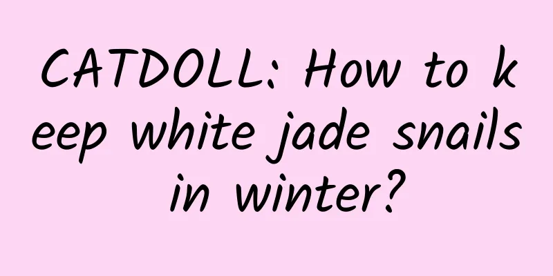 CATDOLL: How to keep white jade snails in winter?
