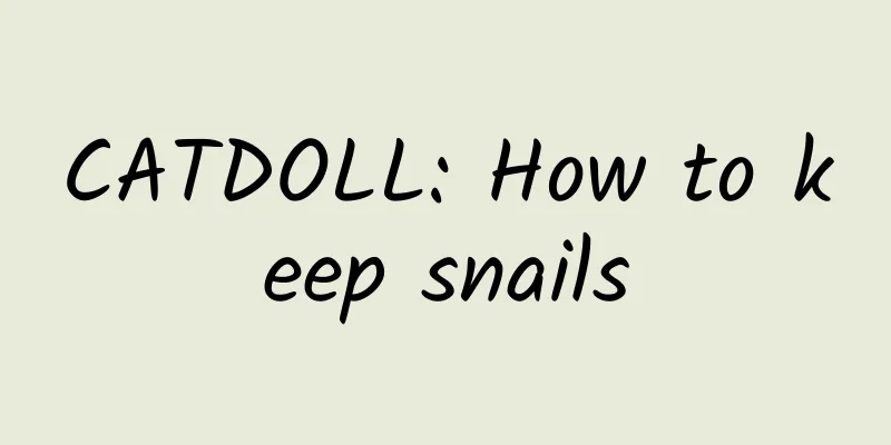 CATDOLL: How to keep snails